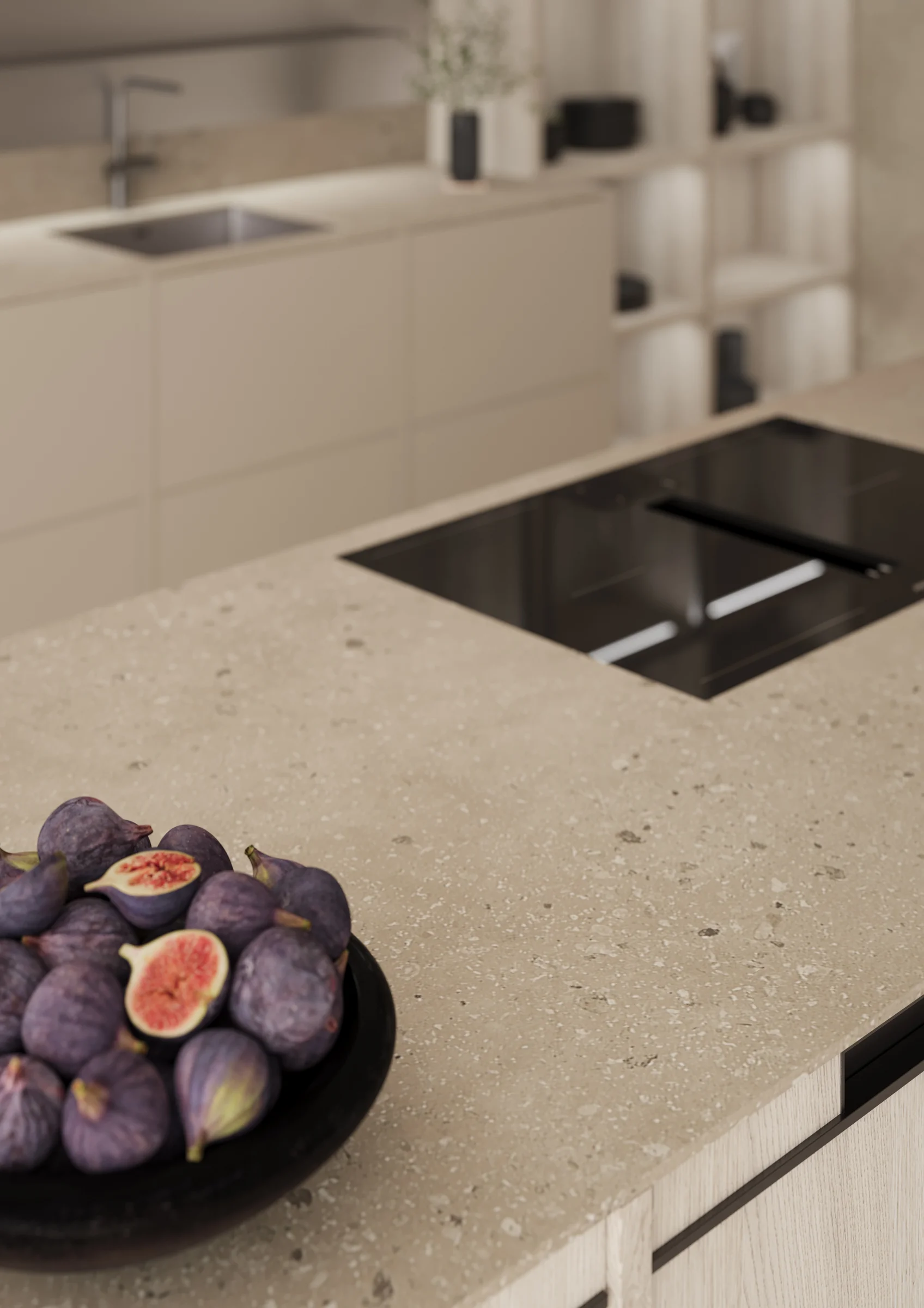 2025 Classic-FS Topos — photo 3