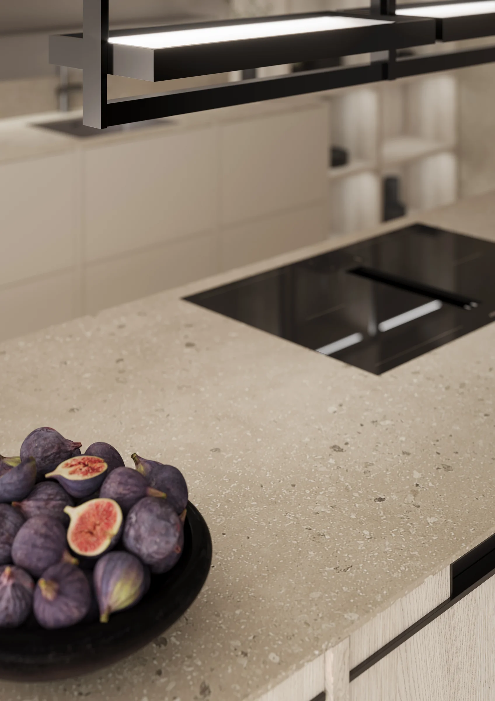 2025 Classic-FS Topos — photo 4