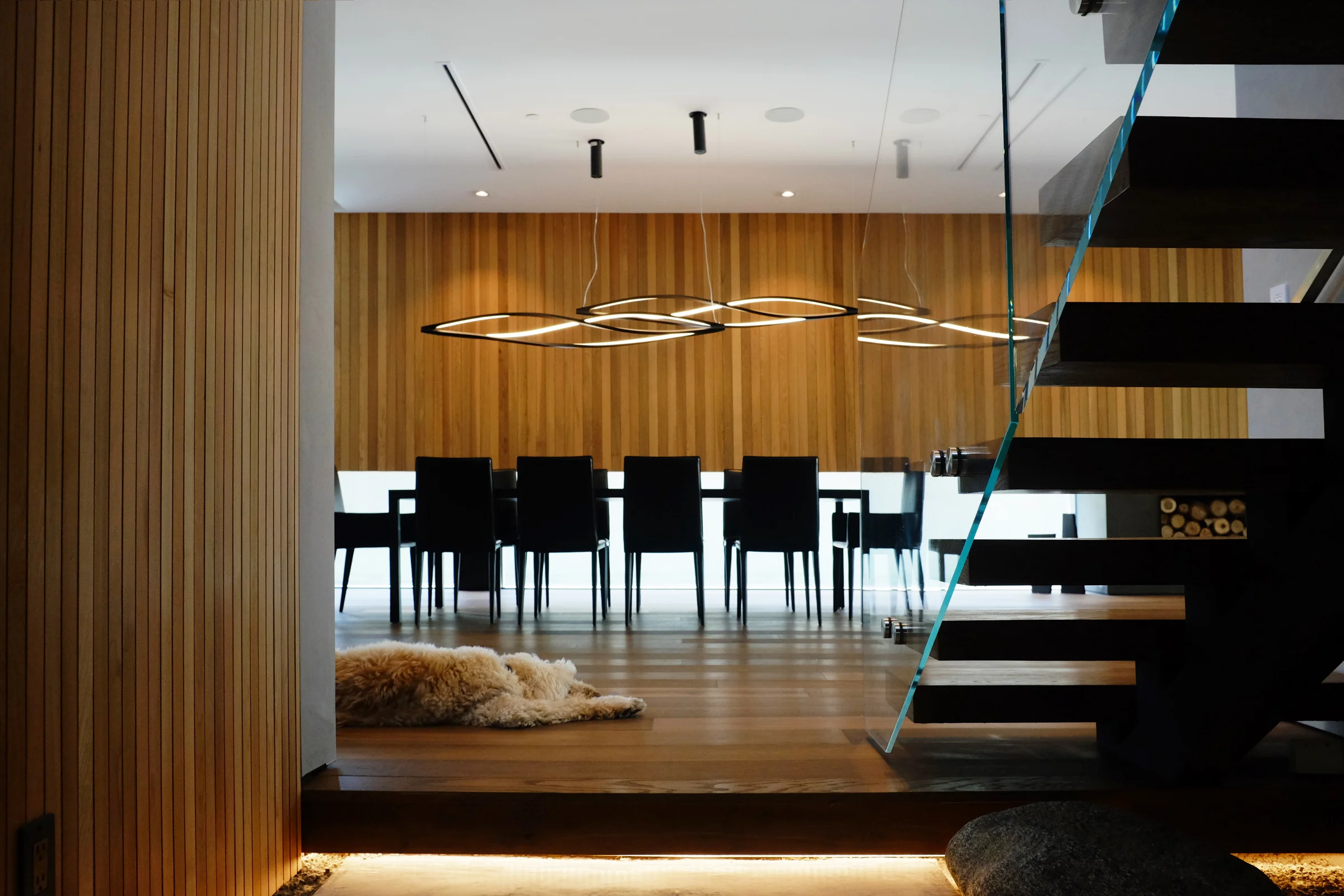 Hollywood — photo 30